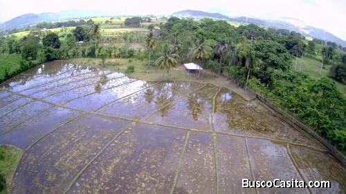 FINCA DE 45 TAREAS DE VENTA EN BONAO