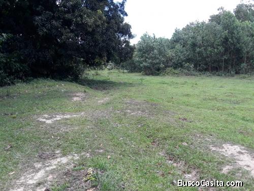 FINCA DE 201 TAREAS DE VENTA EN BONAO