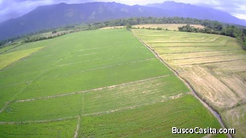 TERRENOS DE VENTA EN BONAO