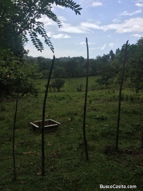 FINCA DE 400 TAREAS DE VENTA EN MONTE PLATA