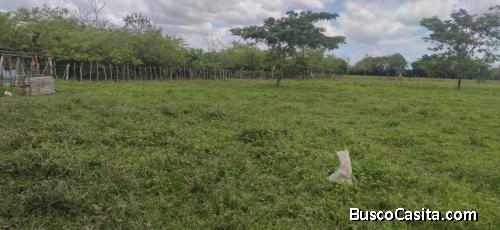 FINCA DE 150 TAREAS DE VENTA EN SAN FRANCISCO DE MACORÍS