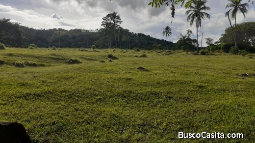 FINCA DE 2,500 TAREAS DE VENTA EN BONAO