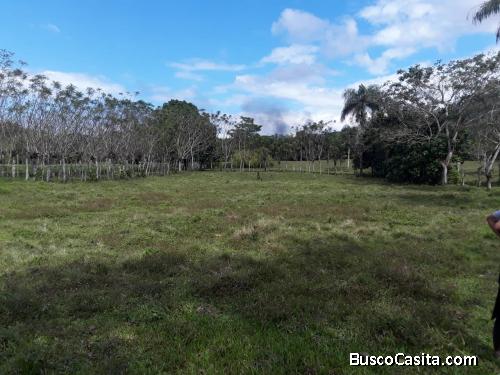 FINCA DE 115 TAREAS DE VENTA EN BONAO