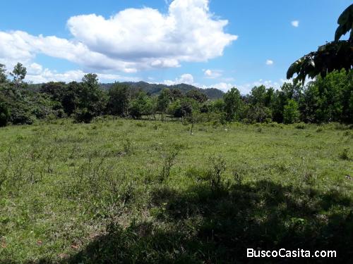 FINCA DE 201 TAREAS DE VENTA EN BONAO
