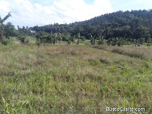 FINCA DE 53 TAREAS DE VENTA EN BONAO