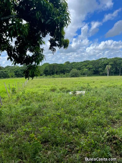   Vendo Excelente Finca de 60 Tareas en Don Juan de Monte Plata, OPORTUNIDAD
