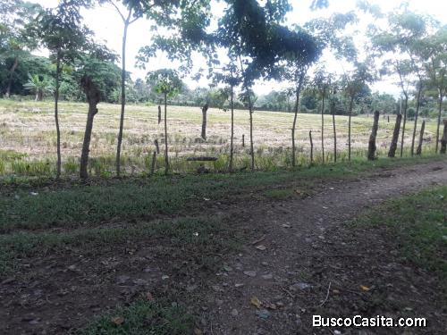 FINCA DE 45 TAREAS DE VENTA EN BONAO