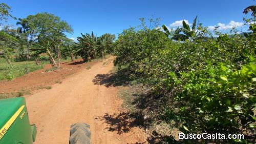 FINCA DE 1,220 TAREAS DE VENTA EN BONAO