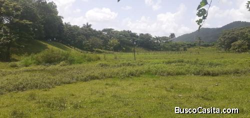 FINCA DE 60 TAREAS DE VENTA EN BONAO