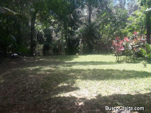 FINCA DE 21 TAREAS DE VENTA EN BONAO