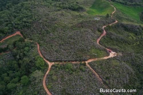 FINCA DE 850 TAREAS DE VENTA EN CONSTANZA
