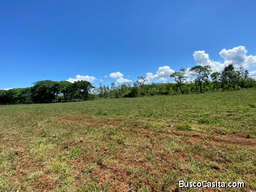 FINCA DE 1,220 TAREAS DE VENTA EN BONAO