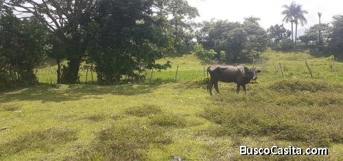 FINCA DE 60 TAREAS DE VENTA EN BONAO