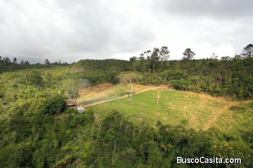FINCA DE 850 TAREAS DE VENTA EN CONSTANZA