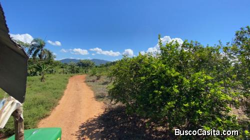 FINCA DE 1,220 TAREAS DE VENTA EN BONAO