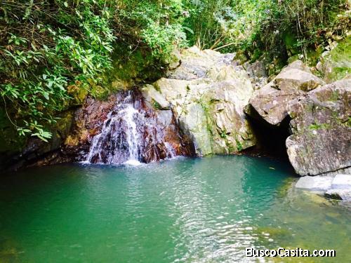 FINCA DE 87 TAREAS DE VENTA EN MONTE PLATA