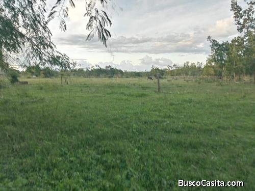 FINCA DE 4,800 TAREAS DE VENTA EN MONTE PLATA