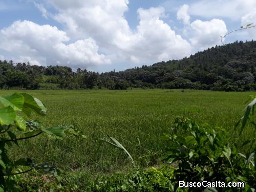 FINCA DE 65 TAREAS DE VENTA EN BONAO
