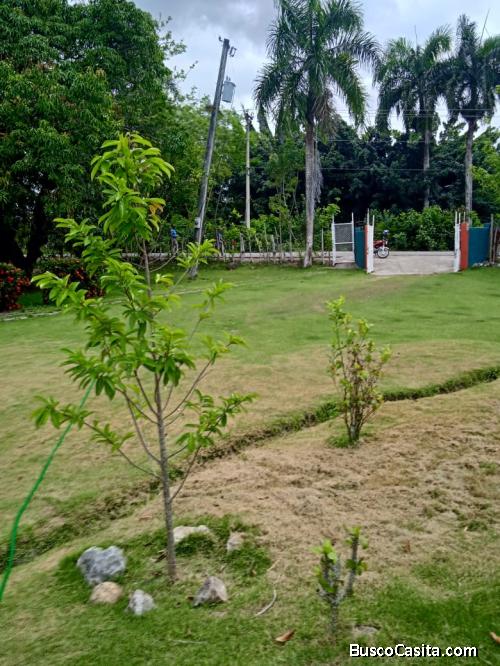 FINCA DE 320 TAREAS DE VENTA EN MONTE PLATA