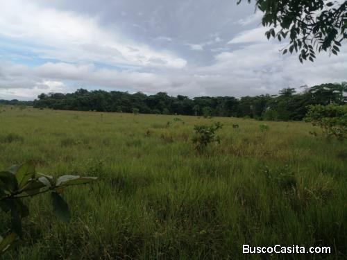 FINCA DE 1,500 TAREAS DE VENTA EN MONTE PLATA
