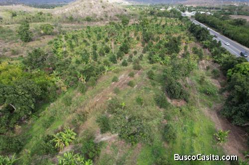 FINCA DE 208 TAREAS DE VENTA EN BANÍ