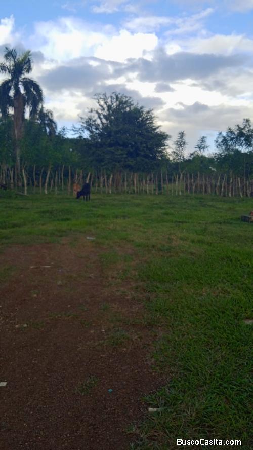 FINCA DE 1,200 TAREAS DE VENTA EN SAN PEDRO DE MACORÍS