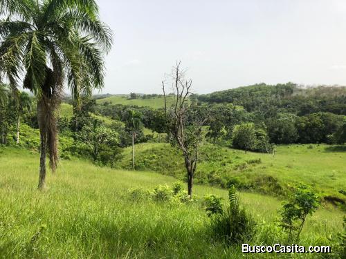 FINCA DE 300 TAREAS DE VENTA EN MONTE PLATA