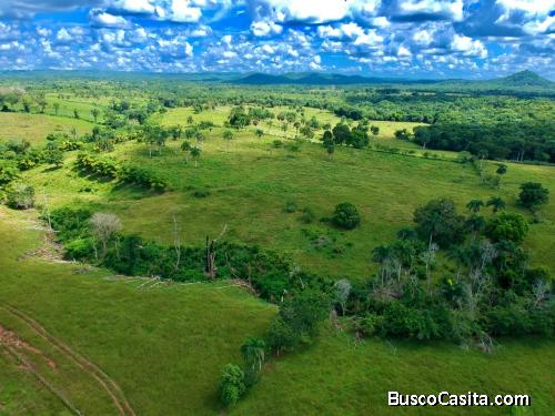 FINCA DE 1,550 TAREAS DE VENTA EN MONTE PLATA