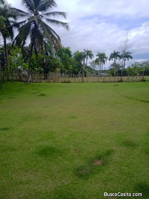 FINCA DE 320 TAREAS DE VENTA EN MONTE PLATA