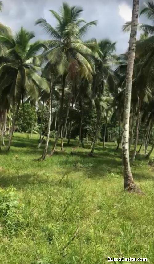 Vendo Finca GANADERA O DE CULTIVOS, con 1,000 tareas de Terreno  en EL VALLE de HATO MAYOR