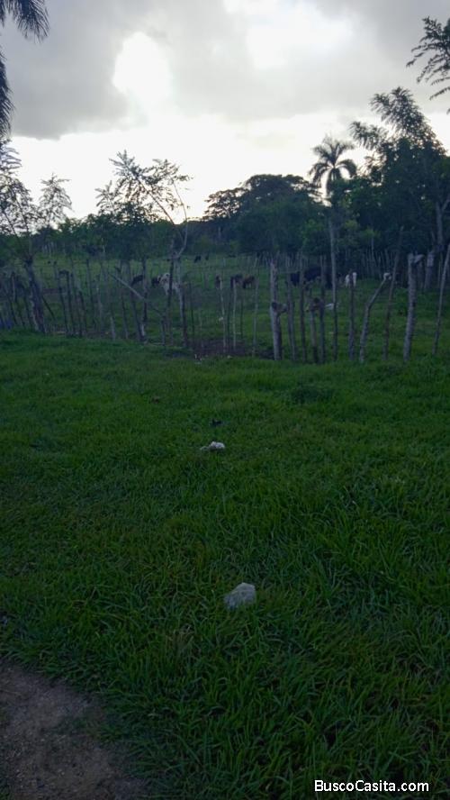 FINCA DE 1,200 TAREAS DE VENTA EN SAN PEDRO DE MACORÍS