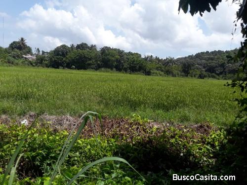 FINCA DE 65 TAREAS DE VENTA EN BONAO