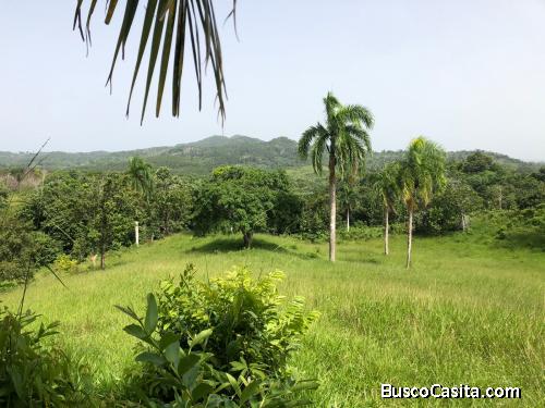 FINCA DE 300 TAREAS DE VENTA EN MONTE PLATA