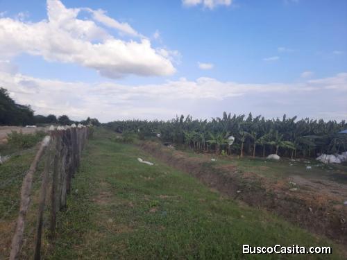 FINCA DE 2,000 TAREAS DE VENTA EN MONTE CRISTI