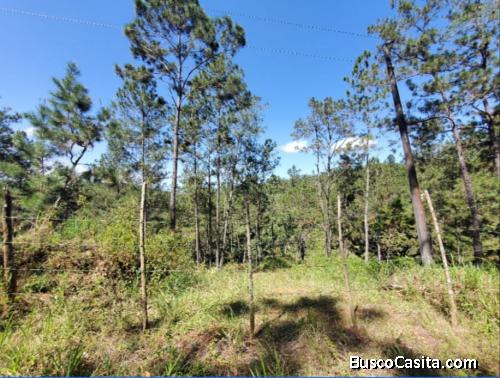 Solar de venta en Jarabacoa