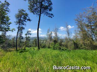 Solar de venta en Jarabacoa 