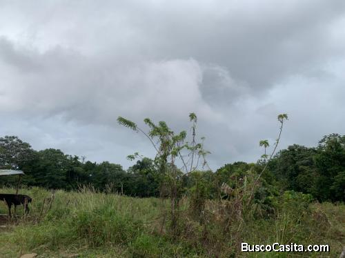 Solar de venta en Jarabacoa 