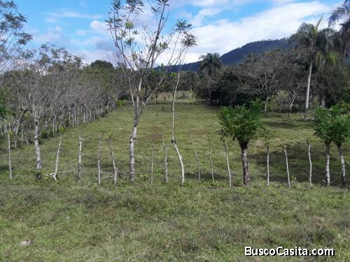 FINCA DE 115 TAREAS DE VENTA EN BONAO