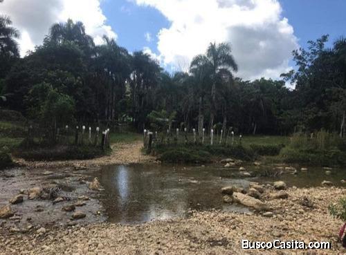 FINCA DE 1,000 TAREAS DE VENTA EN HATO MAYOR