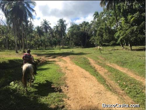 FINCA DE 1,000 TAREAS DE VENTA EN HATO MAYOR
