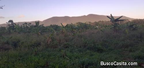 FINCA DE 49 TAREAS DE VENTA EN BONAO