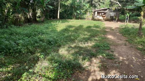 FINCA DE 2,500 TAREAS DE VENTA EN BONAO