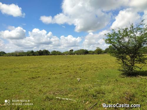 FINCA DE 1,700 TAREAS DE VENTA EN MOPPNTE PLATA