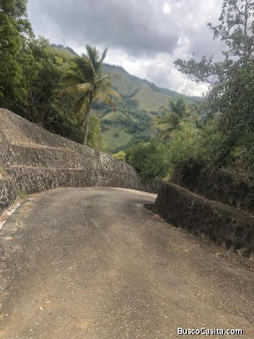 Proyecto Ecoturístico PARA VILLAS EN LA MONTAÑA, 41,435 MTS.2, ubicado en la Ruta Panorámica Gregori