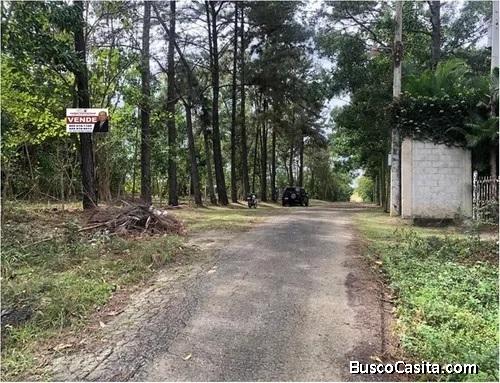 VENDO Finca de 41,393 mts.2  A RD$800.00 EL MT.2, UBICADO PROX. AL VACACIONAL LA ISABELA de Pedro Br