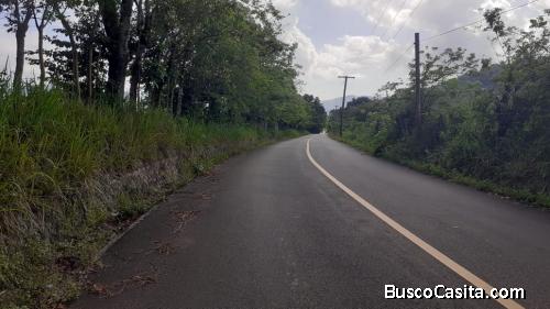 FINCA DE 2,500 TAREAS DE VENTA EN BONAO