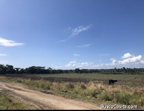 Terreno en Venta en NAJAYO