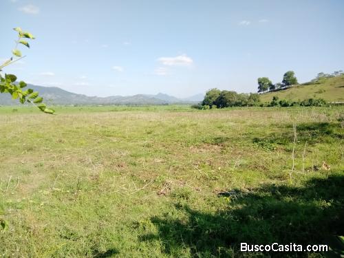 FINCA DE 53 TAREAS DE VENTA EN BONAO