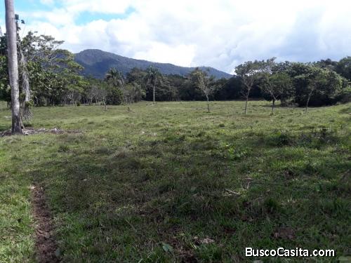 FINCA DE 115 TAREAS DE VENTA EN BONAO