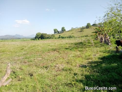 FINCA DE 53 TAREAS DE VENTA EN BONAO